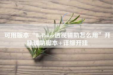 可用版本“WePoker透视辅助怎么用	”开挂辅助脚本+详细开挂