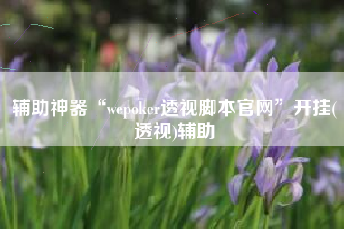 辅助神器“wepoker透视脚本官网	”开挂(透视)辅助