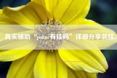 真实辅助“poker有挂吗	”详细分享装挂
