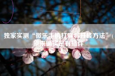 独家实测“微乐手机打麻将开挂方法	”(原来确实是有插件