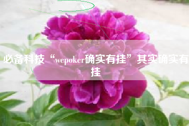 必备科技“wepoker确实有挂	”其实确实有挂