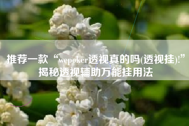 推荐一款“wepoker透视真的吗(透视挂)!”揭秘透视辅助万能挂用法