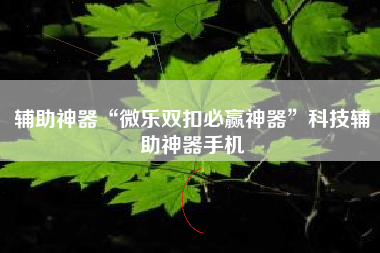 辅助神器“微乐双扣必赢神器”科技辅助神器手机