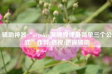 辅助神器“wepoker发牌规律最简单三个公式	”作弊(透视)透视辅助