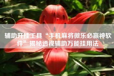 辅助开挂工具“手机麻将微乐必赢神软件	”揭秘透视辅助万能挂用法