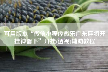 可用版本“微信小程序微乐广东麻将开挂神器下	”开挂(透视)辅助教程