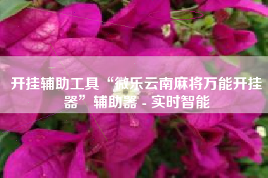 开挂辅助工具“微乐云南麻将万能开挂器	”辅助器 - 实时智能