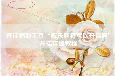 开挂辅助工具“微乐麻将可以开挂吗”开挂详细教程