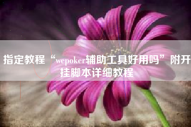 指定教程“wepoker辅助工具好用吗	”附开挂脚本详细教程