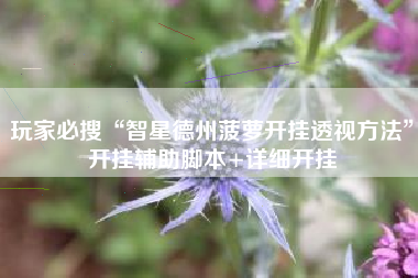 玩家必搜“智星德州菠萝开挂透视方法”开挂辅助脚本+详细开挂