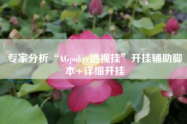 专家分析“AGpoker透视挂”开挂辅助脚本+详细开挂
