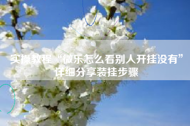 实操教程“微乐怎么看别人开挂没有”详细分享装挂步骤