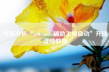 专家分析“pokemmo辅助工具自动”开挂详细教程