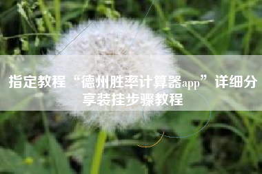 指定教程“德州胜率计算器app”详细分享装挂步骤教程