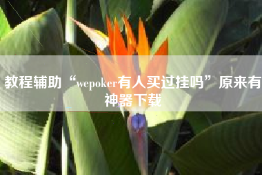 教程辅助“wepoker有人买过挂吗	”原来有神器下载