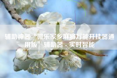 辅助神器“微乐家乡麻将万能开挂器通用版”辅助器 - 实时智能