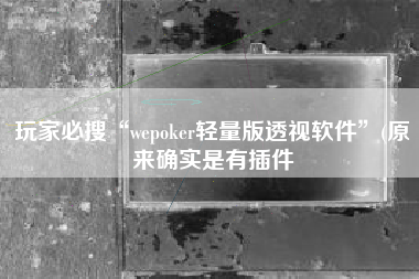 玩家必搜“wepoker轻量版透视软件”(原来确实是有插件
