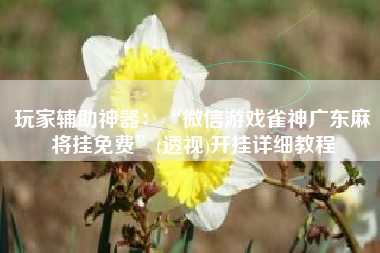 玩家辅助神器:“微信游戏雀神广东麻将挂免费”(透视)开挂详细教程 玩家辅助神器:“微信游戏雀神广东麻将挂免费”(透视)开挂详细教程