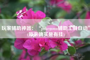玩家辅助神器：“pokemmo辅助工具自动”(原来确实是有挂)