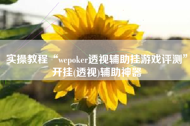 实操教程“wepoker透视辅助挂游戏评测”开挂(透视)辅助神器