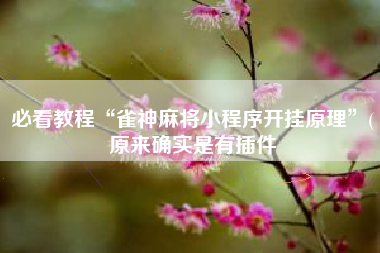 必看教程“雀神麻将小程序开挂原理”(原来确实是有插件