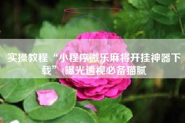 实操教程“小程序微乐麻将开挂神器下载	”(曝光透视必备猫腻