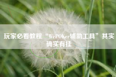 玩家必看教程“WePOKer辅助工具	”其实确实有挂