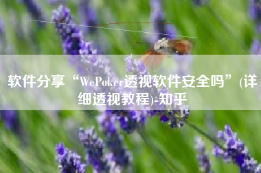 软件分享“WePoker透视软件安全吗”(详细透视教程)-知乎