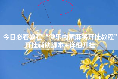 今日必看教程“微乐内蒙麻将开挂教程”开挂辅助脚本+详细开挂