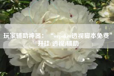 玩家辅助神器：“wepoker透视脚本免费”开挂(透视)辅助