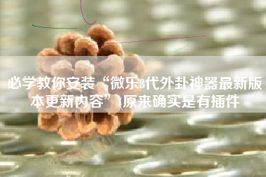 必学教你安装“微乐3代外卦神器最新版本更新内容”(原来确实是有插件