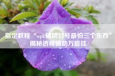 指定教程“wpk辅助封号最怕三个东西”揭秘透视辅助万能挂