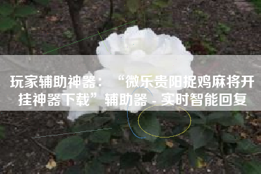 玩家辅助神器：“微乐贵阳捉鸡麻将开挂神器下载”辅助器 - 实时智能回复