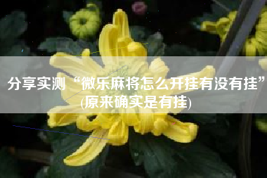 分享实测“微乐麻将怎么开挂有没有挂”(原来确实是有挂)