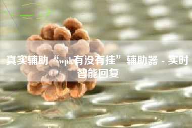 真实辅助“wpk有没有挂	”辅助器 - 实时智能回复