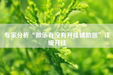 专家分析“微乐有没有开挂辅助器	”详细开挂