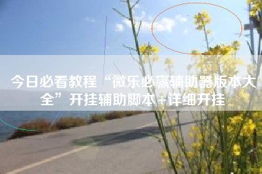 今日必看教程“微乐必赢辅助器版本大全”开挂辅助脚本+详细开挂