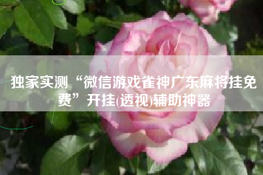 独家实测“微信游戏雀神广东麻将挂免费”开挂(透视)辅助神器