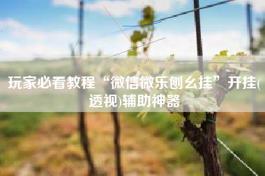 玩家必看教程“微信微乐刨幺挂	”开挂(透视)辅助神器