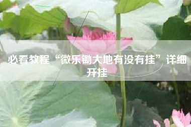 必看教程“微乐锄大地有没有挂”详细开挂