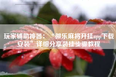 玩家辅助神器：“微乐麻将开挂app下载安装”详细分享装挂步骤教程