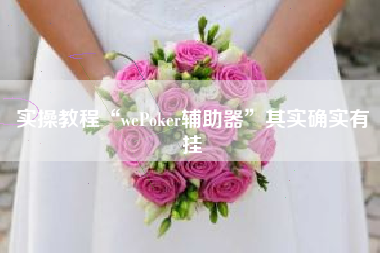 实操教程“wePoker辅助器”其实确实有挂