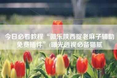 今日必看教程“微乐陕西捉老麻子辅助免费插件”(曝光透视必备猫腻