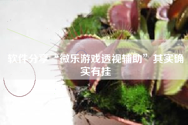 软件分享“微乐游戏透视辅助	”其实确实有挂