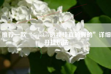 推荐一款“wepoker透视挂真的假的”详细开挂玩法