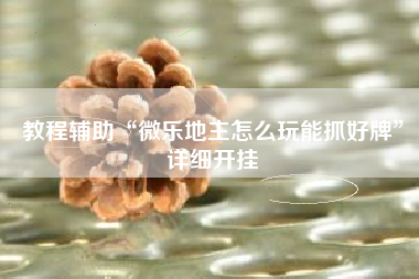 教程辅助“微乐地主怎么玩能抓好牌”详细开挂