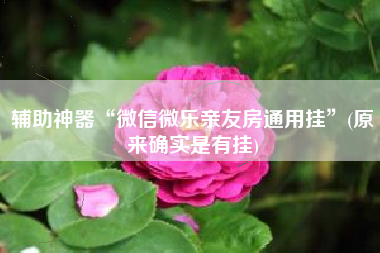 辅助神器“微信微乐亲友房通用挂	”(原来确实是有挂)