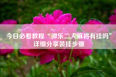 今日必看教程“微乐二人麻将有挂吗”详细分享装挂步骤