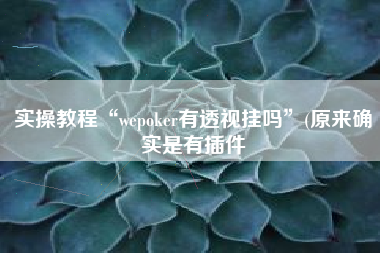 实操教程“wepoker有透视挂吗”(原来确实是有插件
