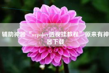 辅助神器“wepoker透视挂教程”原来有神器下载